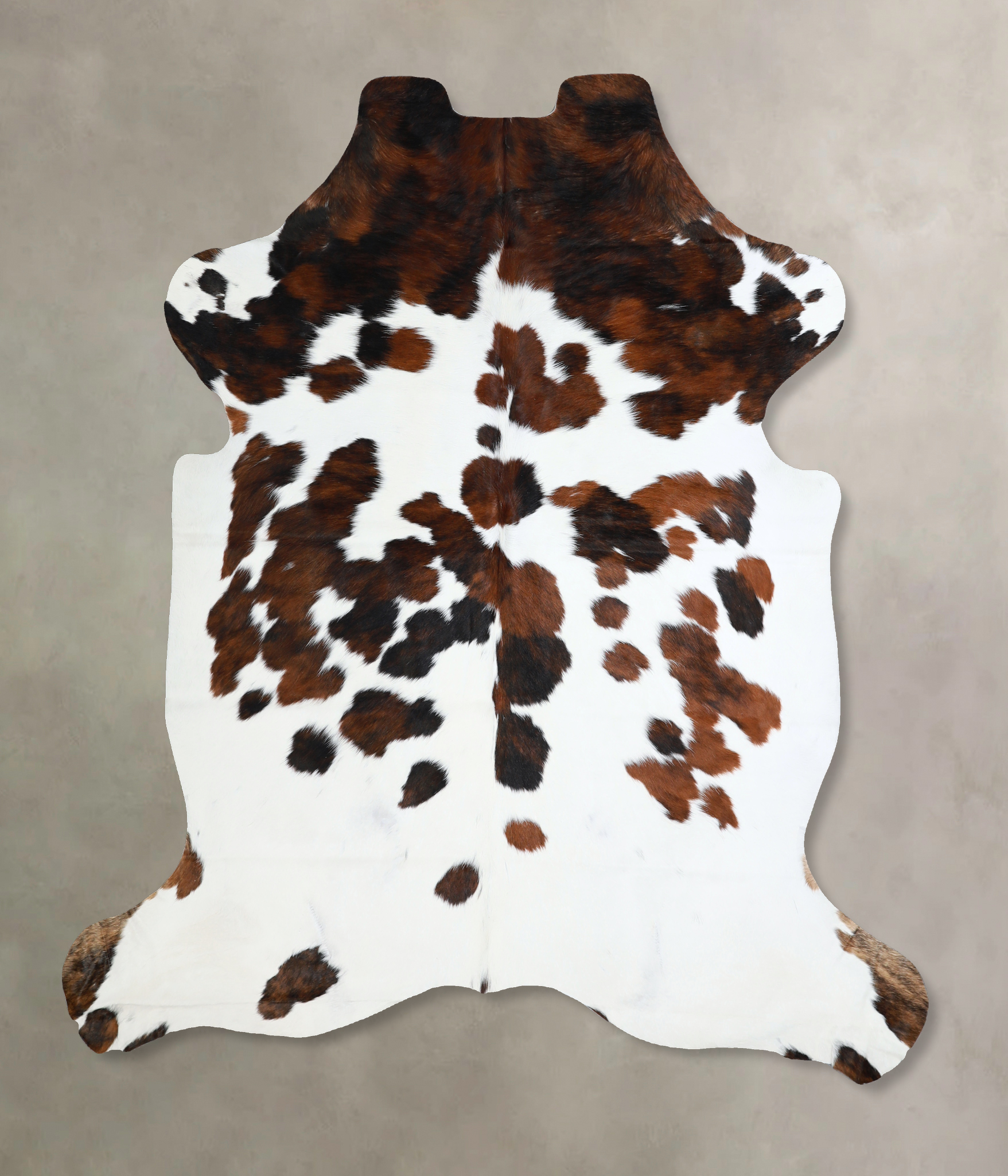 Tricolor Cowhide Rug #A40914