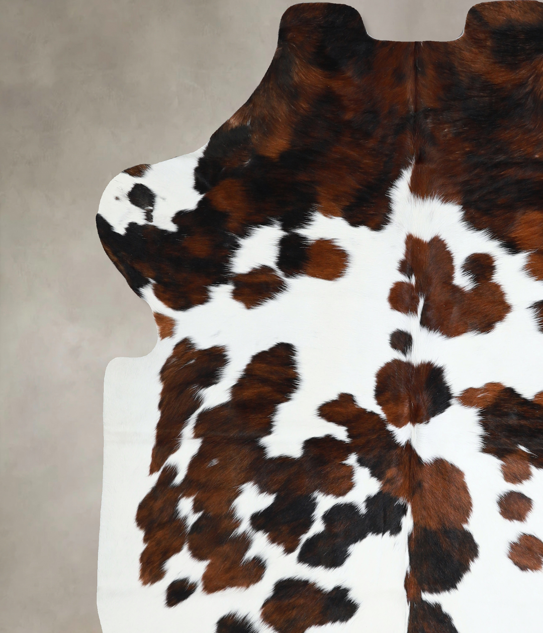 Tricolor X-Large European Cowhide Rug 6'10"H x 5'11"W #A40914 by Hudso