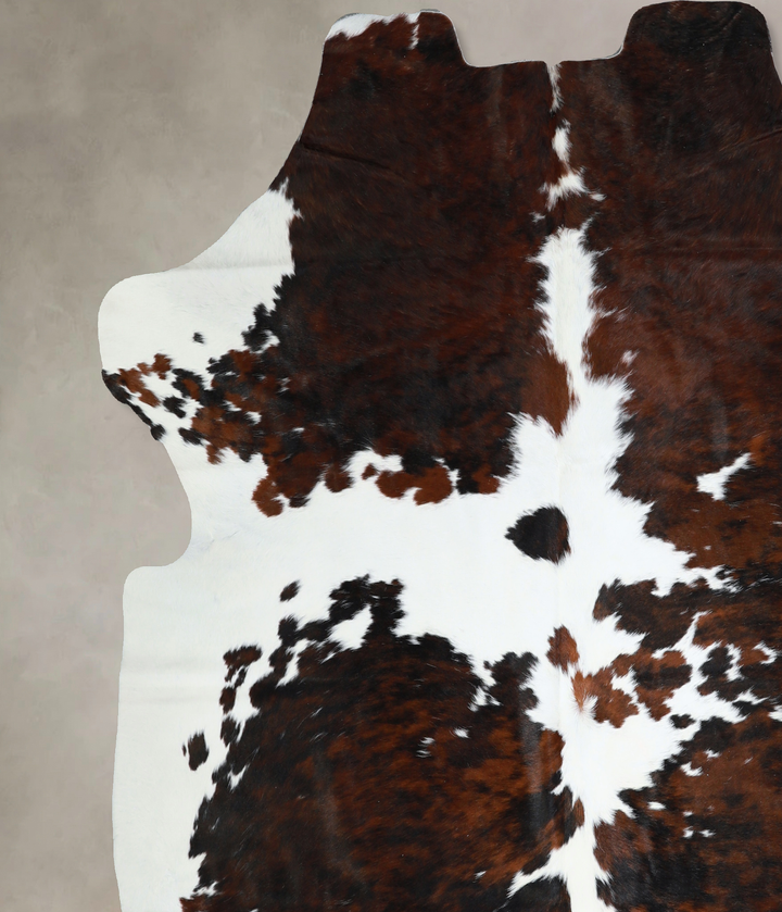 Tricolor X-Large European Cowhide Rug 7'2"H x 6'11"W #A40917 by Hudson Hides