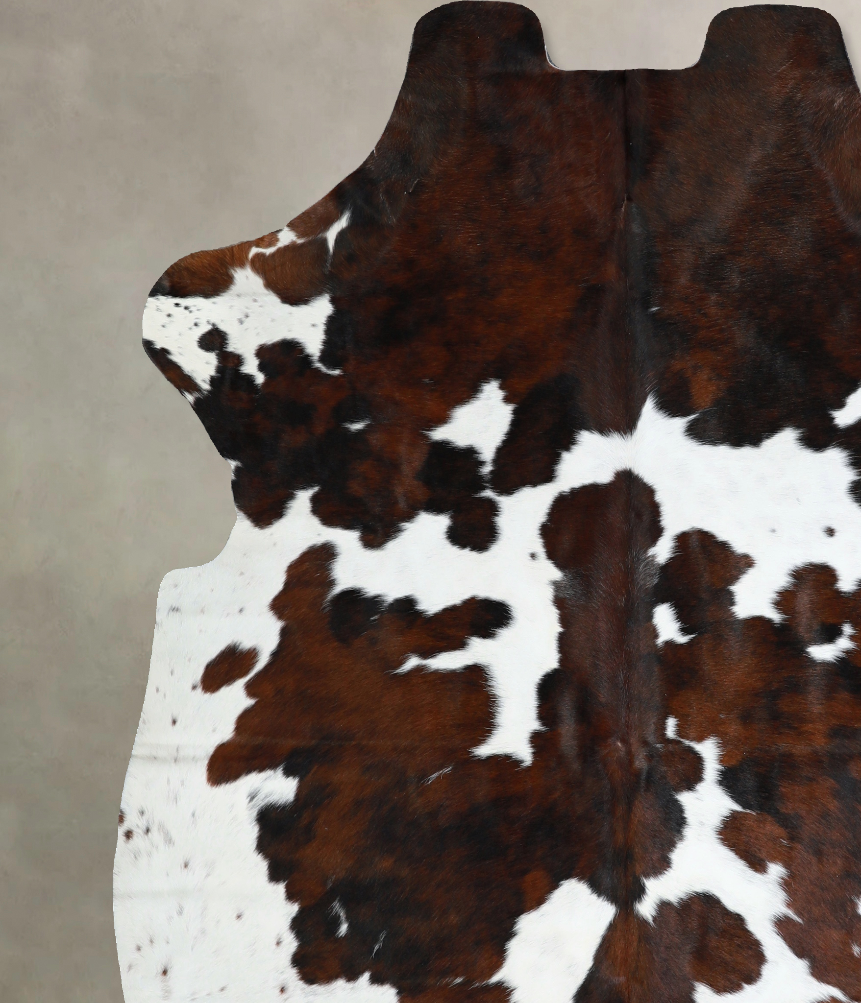 Tricolor Cowhide Rug #A40924