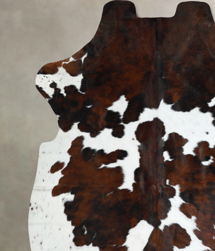 Tricolor X-Large European Cowhide Rug 6'11"H x 6'2"W #A40924 by Hudson Hides