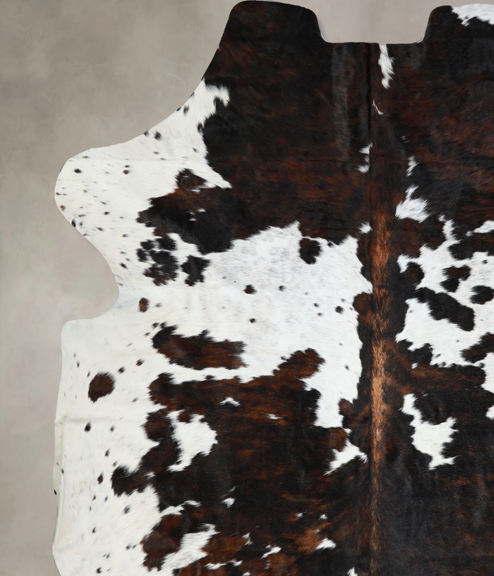 Tricolor X-Large European Cowhide Rug 7'1"H x 6'5"W #A40925 by Hudson Hides