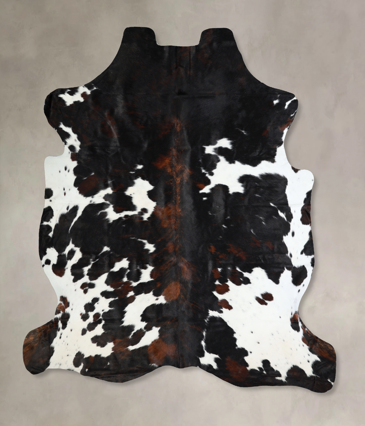 Tricolor X-Large European Cowhide Rug 7'1"H x 6'4"W #A40926 by Hudson Hides
