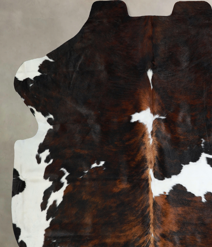 Tricolor X-Large European Cowhide Rug 7'1"H x 6'7"W #A40927 by Hudson Hides