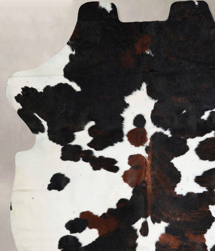 Tricolor X-Large European Cowhide Rug 7'1"H x 6'4"W #A40928 by Hudson Hides