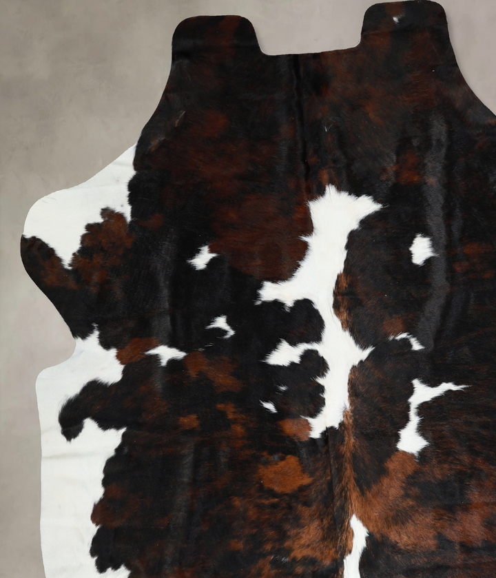 Tricolor X-Large European Cowhide Rug 6'11"H x 6'3"W #A40929 by Hudson Hides