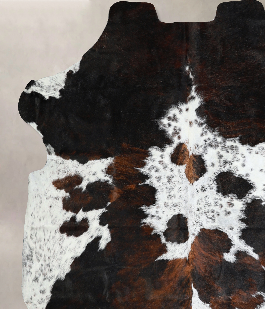 Tricolor X-Large European Cowhide Rug 6'8"H x 6'1"W #A40931 by Hudson 