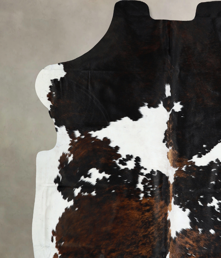 Tricolor X-Large European Cowhide Rug 6'8"H x 6'7"W #A40932 by Hudson Hides