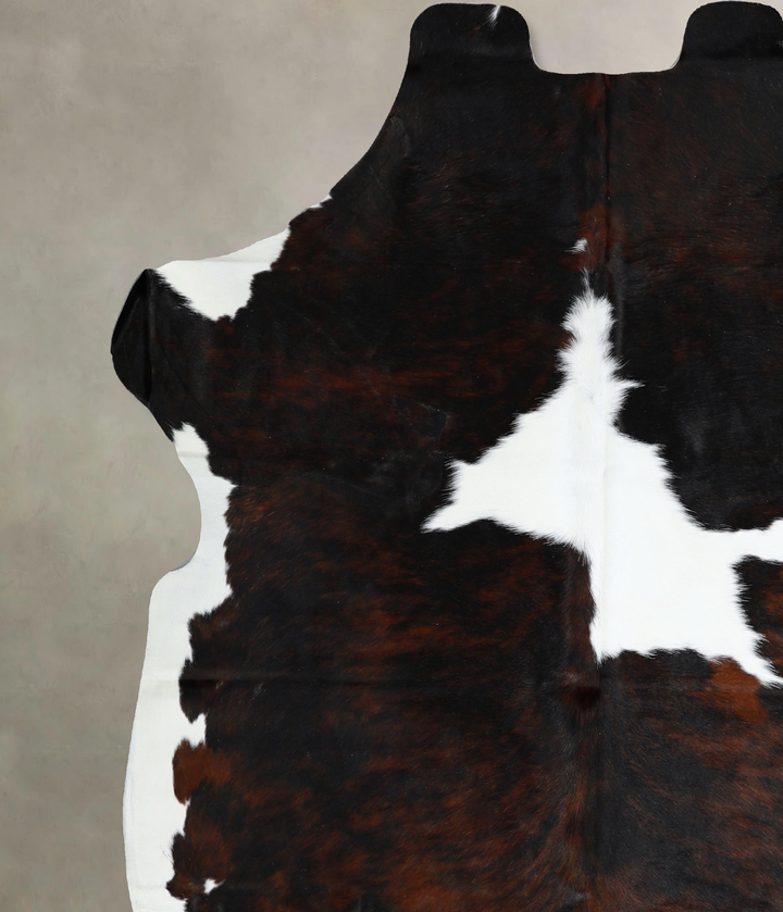 Tricolor X-Large European Cowhide Rug 6'8"H x 6'2"W #A40934 by Hudson Hides