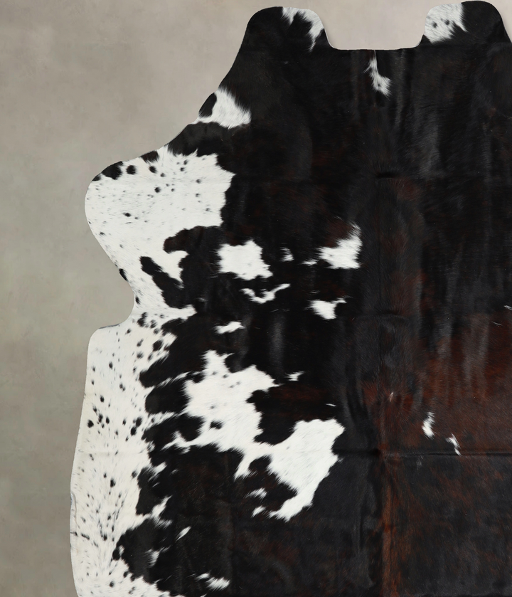 Tricolor X-Large European Cowhide Rug 7'2"H x 6'11"W #A40941 by Hudson Hides
