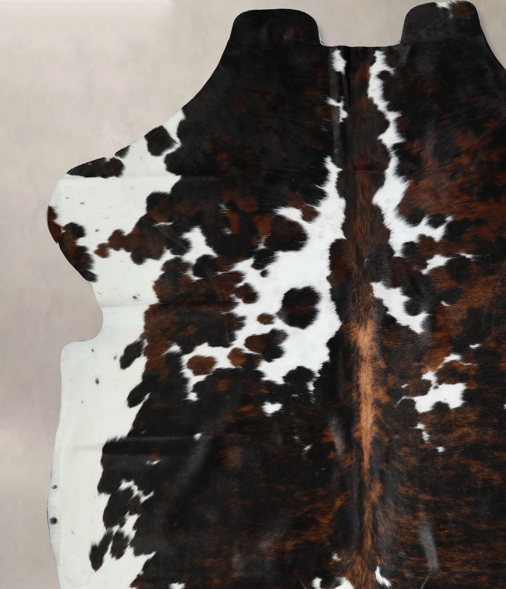 Tricolor X-Large European Cowhide Rug 7'2"H x 6'11"W #A40943 by Hudson Hides