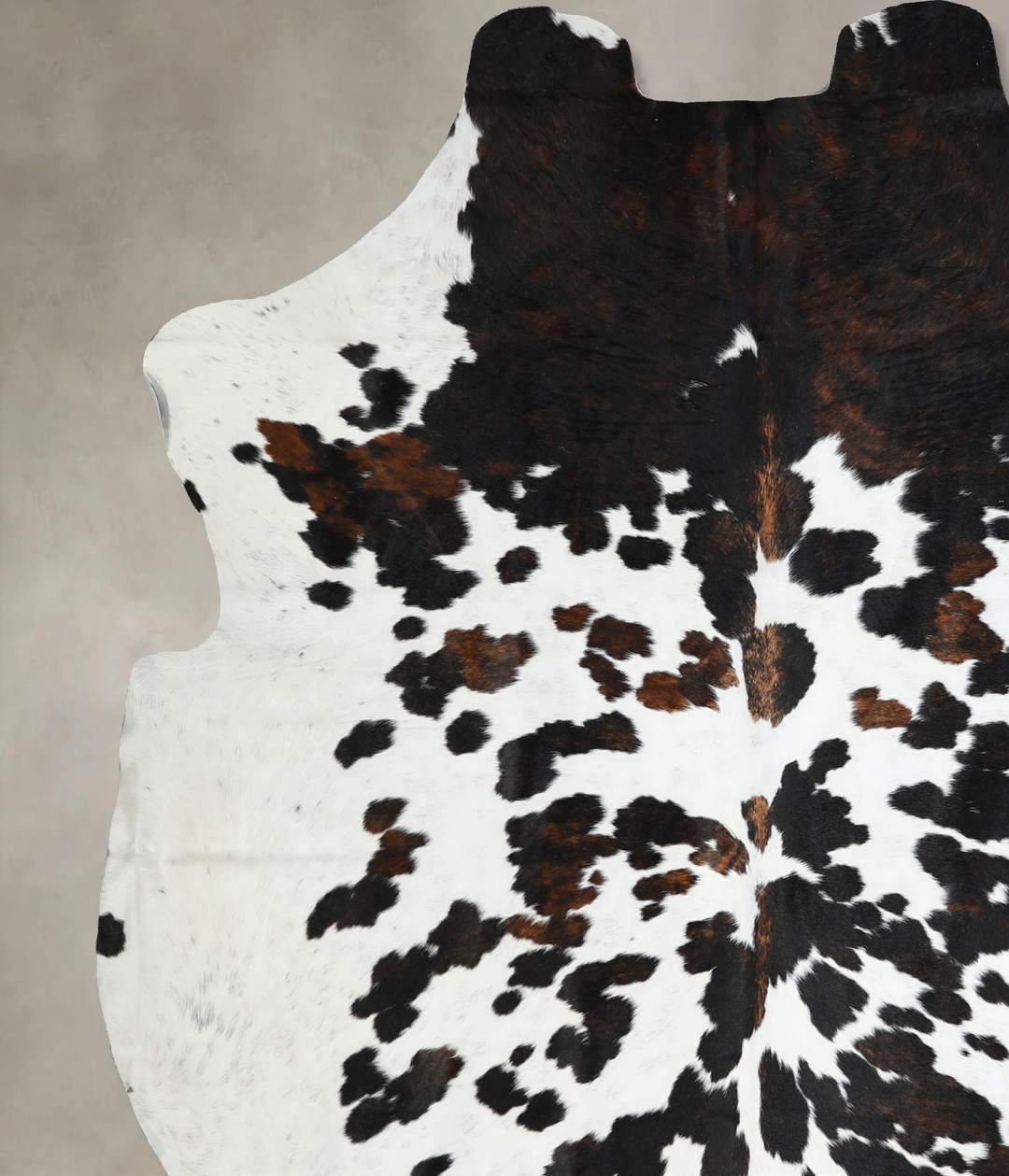 Tricolor X-Large European Cowhide Rug 7'4"H x 6'9"W #A40944 by Hudson 