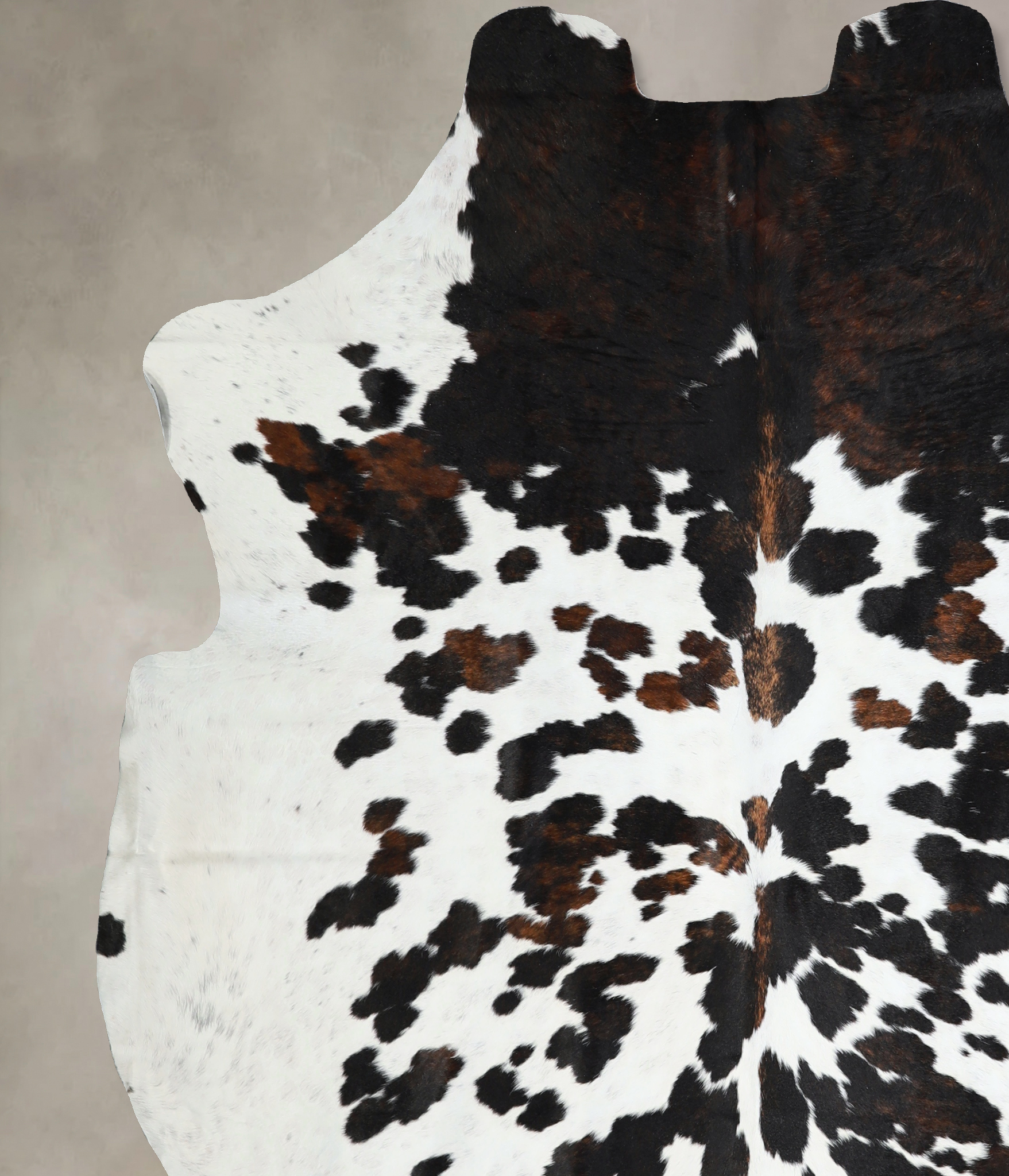 Tricolor Cowhide Rug #A40944