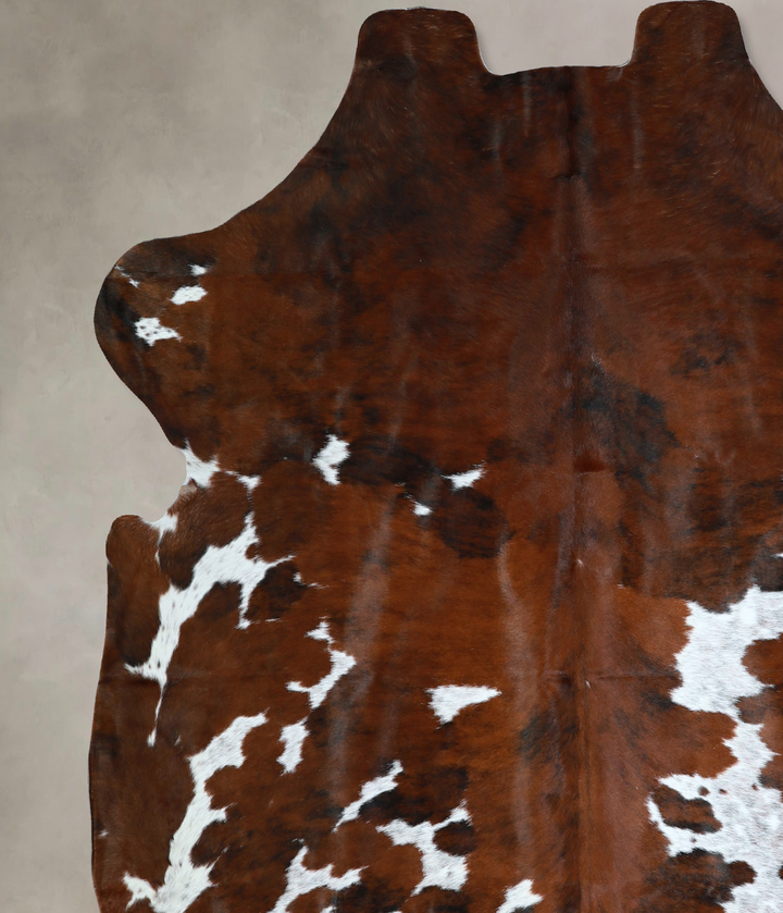 Tricolor X-Large European Cowhide Rug 7'1"H x 6'8"W #A40945 by Hudson Hides
