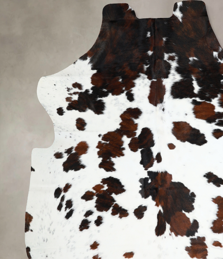 Tricolor X-Large European Cowhide Rug 7'1"H x 6'11"W #A40953 by Hudson Hides
