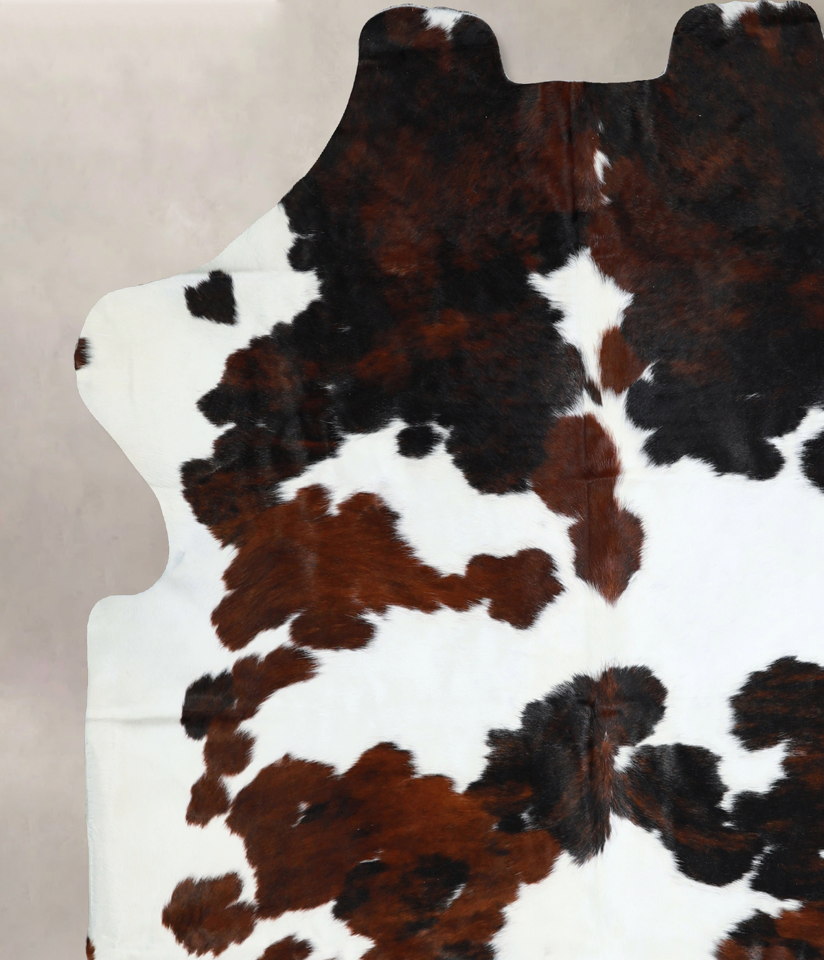 Tricolor X-Large European Cowhide Rug 7'1"H x 6'8"W #A40955 by Hudson Hides