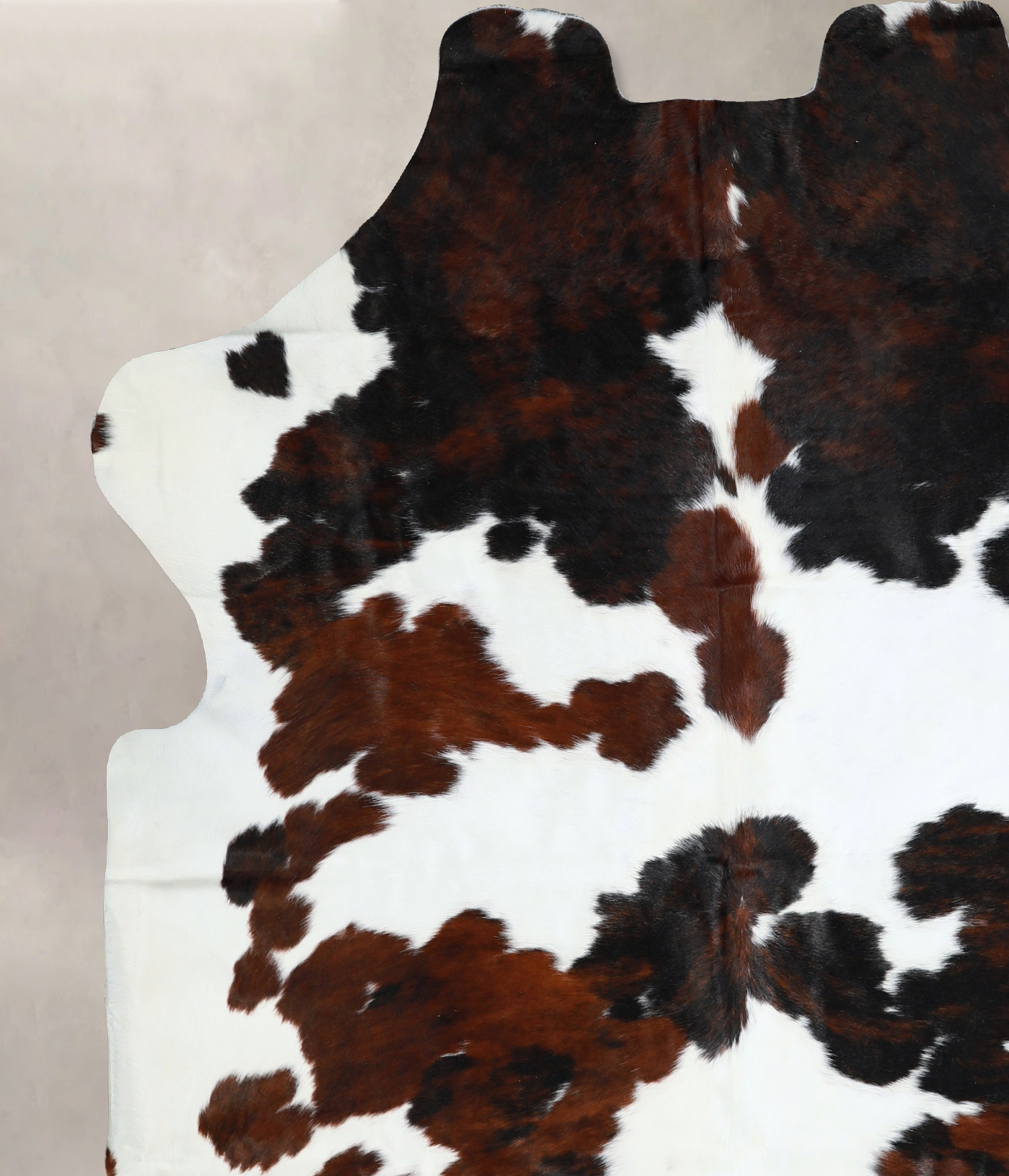 Tricolor Cowhide Rug #A40955