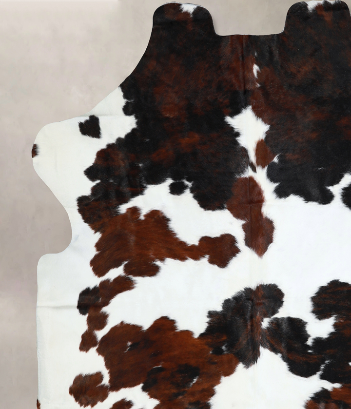 Tricolor X-Large European Cowhide Rug 7'1"H x 6'8"W #A40955 by Hudson Hides