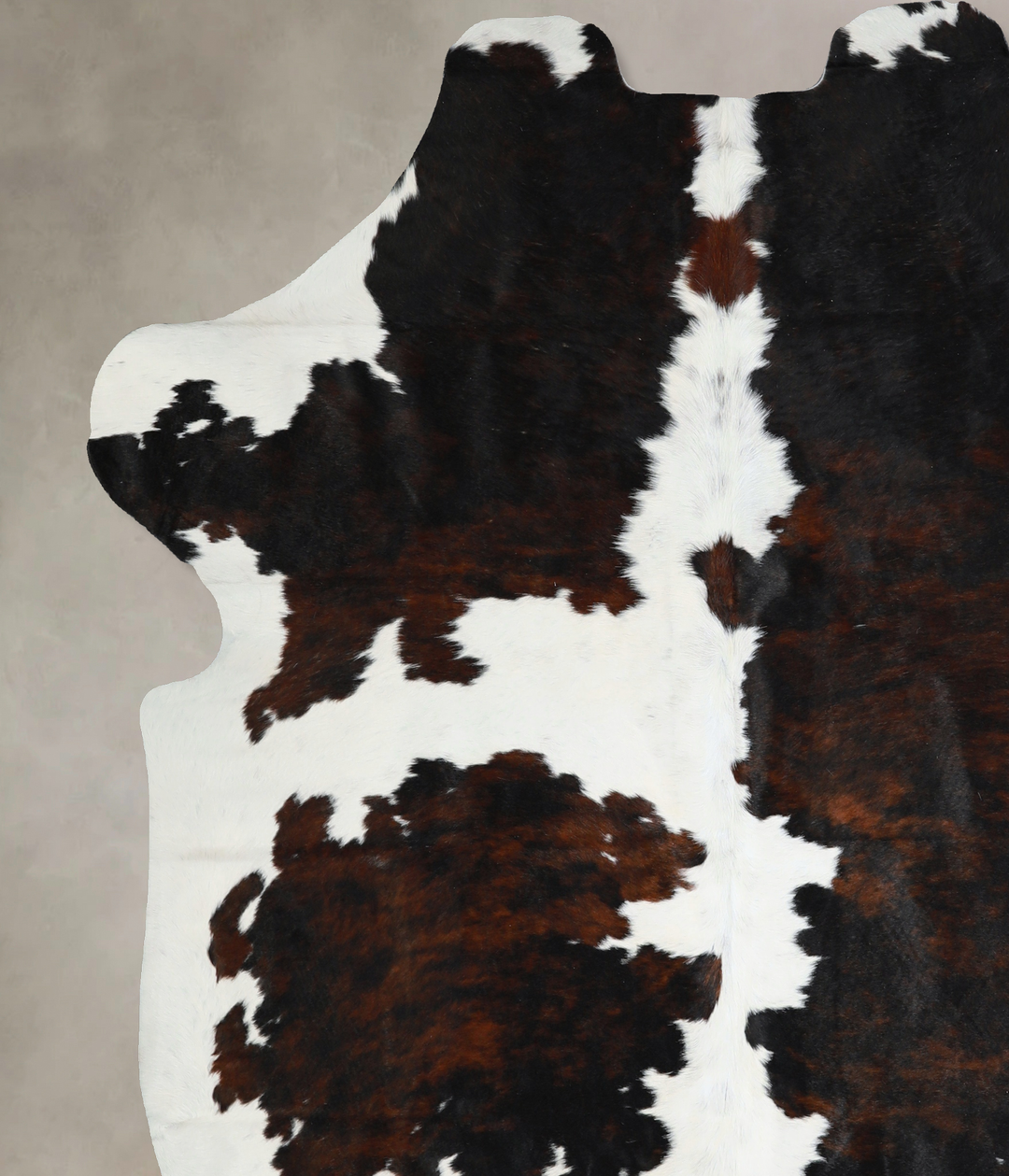 Tricolor X-Large European Cowhide Rug 7'1"H x 6'6"W #A40963 by Hudson 