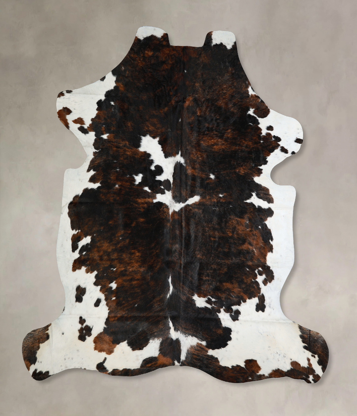 Tricolor X-Large European Cowhide Rug 7'1"H x 6'8"W #A40965 by Hudson Hides
