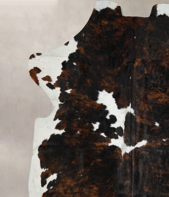 Tricolor X-Large European Cowhide Rug 7'1"H x 6'8"W #A40965 by Hudson Hides