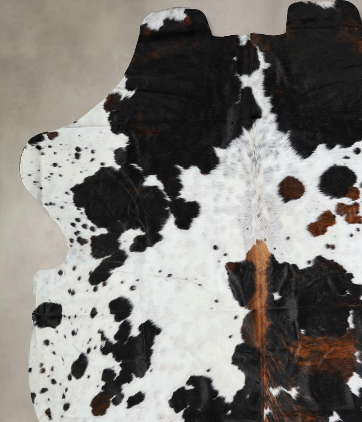 Tricolor X-Large European Cowhide Rug 7'2"H x 6'8"W #A40967 by Hudson Hides