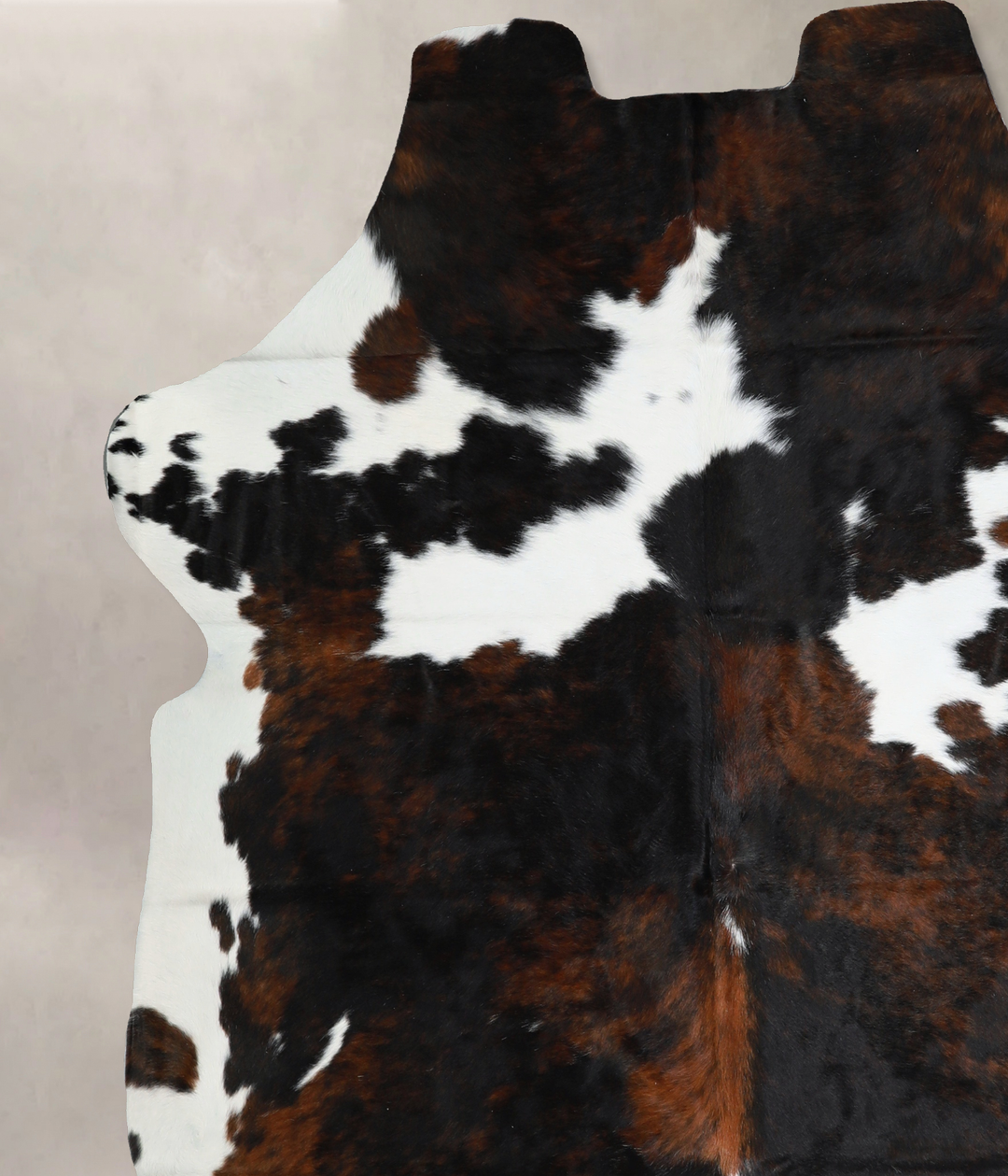 Tricolor X-Large European Cowhide Rug 6'11"H x 6'8"W #A40969 by Hudson