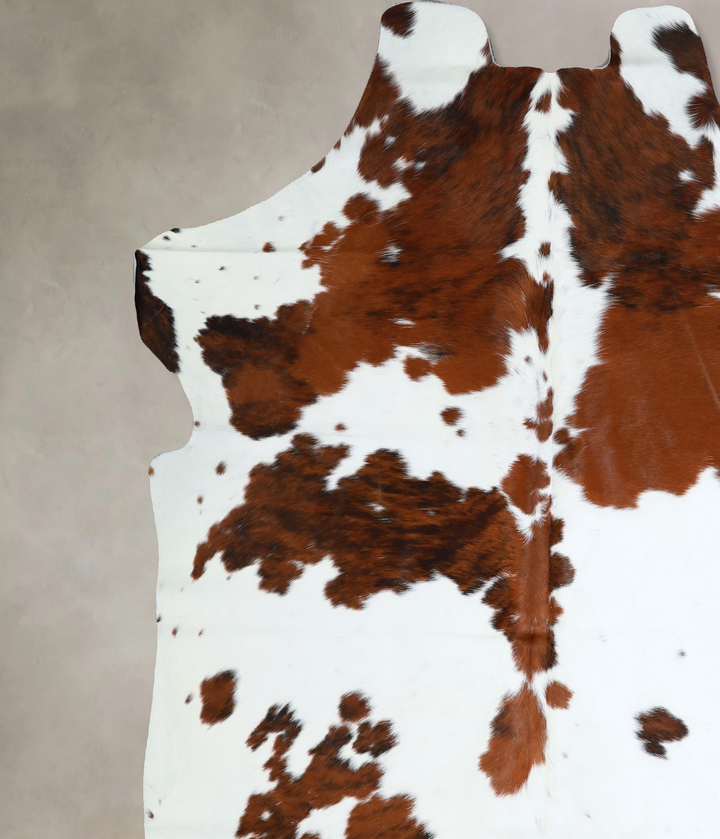 Tricolor X-Large European Cowhide Rug 7'0"H x 6'7"W #A40970 by Hudson Hides