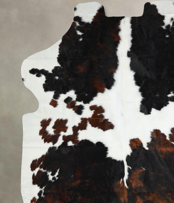 Tricolor X-Large European Cowhide Rug 7'0"H x 6'5"W #A40971 by Hudson Hides