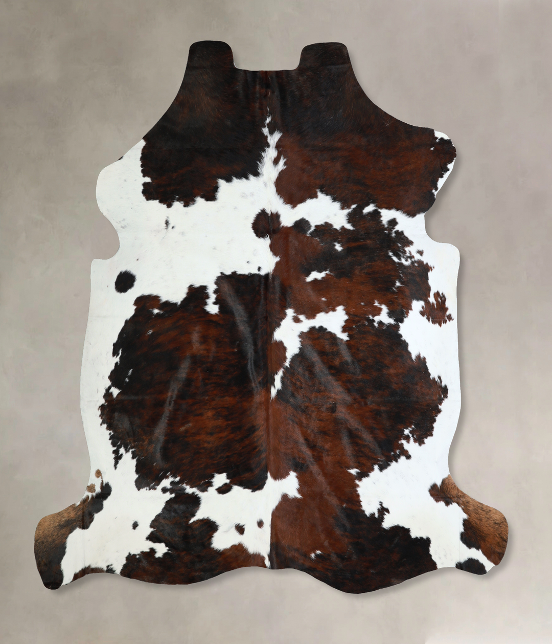 Tricolor X-Large European Cowhide Rug 7'0"H x 6'10"W #A40984 by Hudson