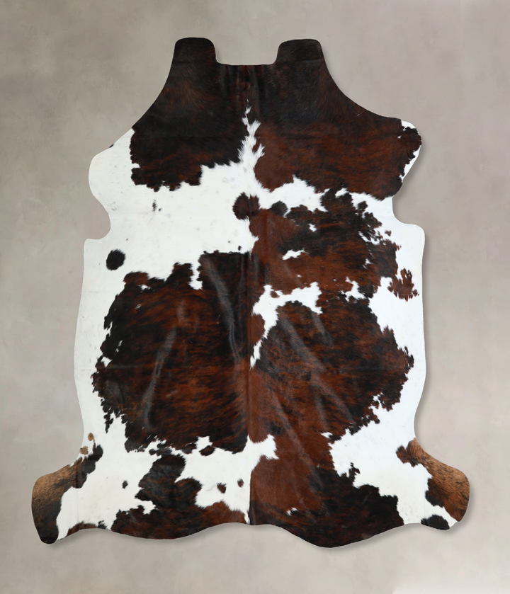 Tricolor X-Large European Cowhide Rug 7'0"H x 6'10"W #A40984 by Hudson Hides