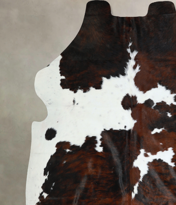 Tricolor X-Large European Cowhide Rug 7'0"H x 6'10"W #A40984 by Hudson Hides