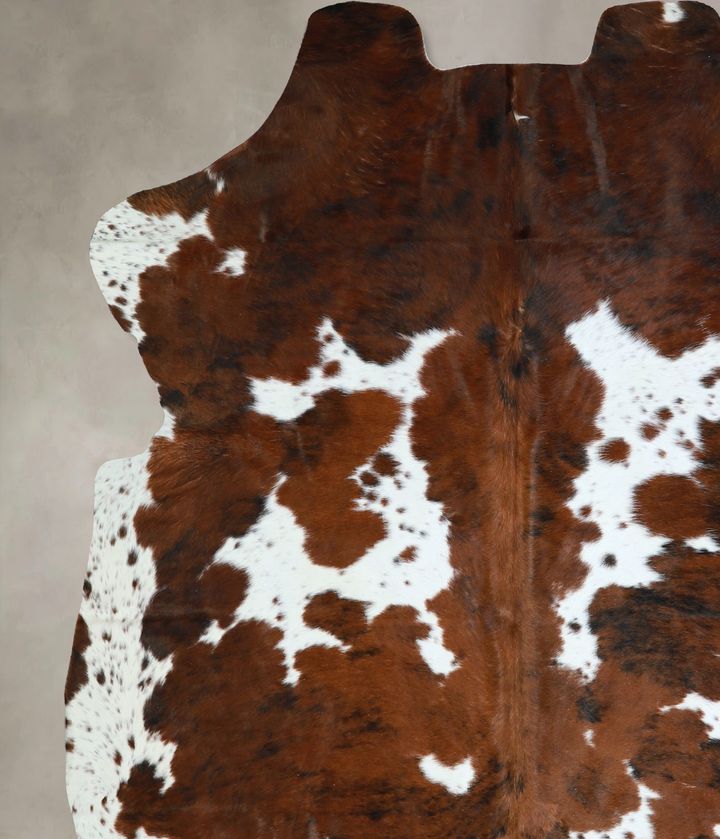 Tricolor X-Large European Cowhide Rug 7'0"H x 6'4"W #A40986 by Hudson Hides