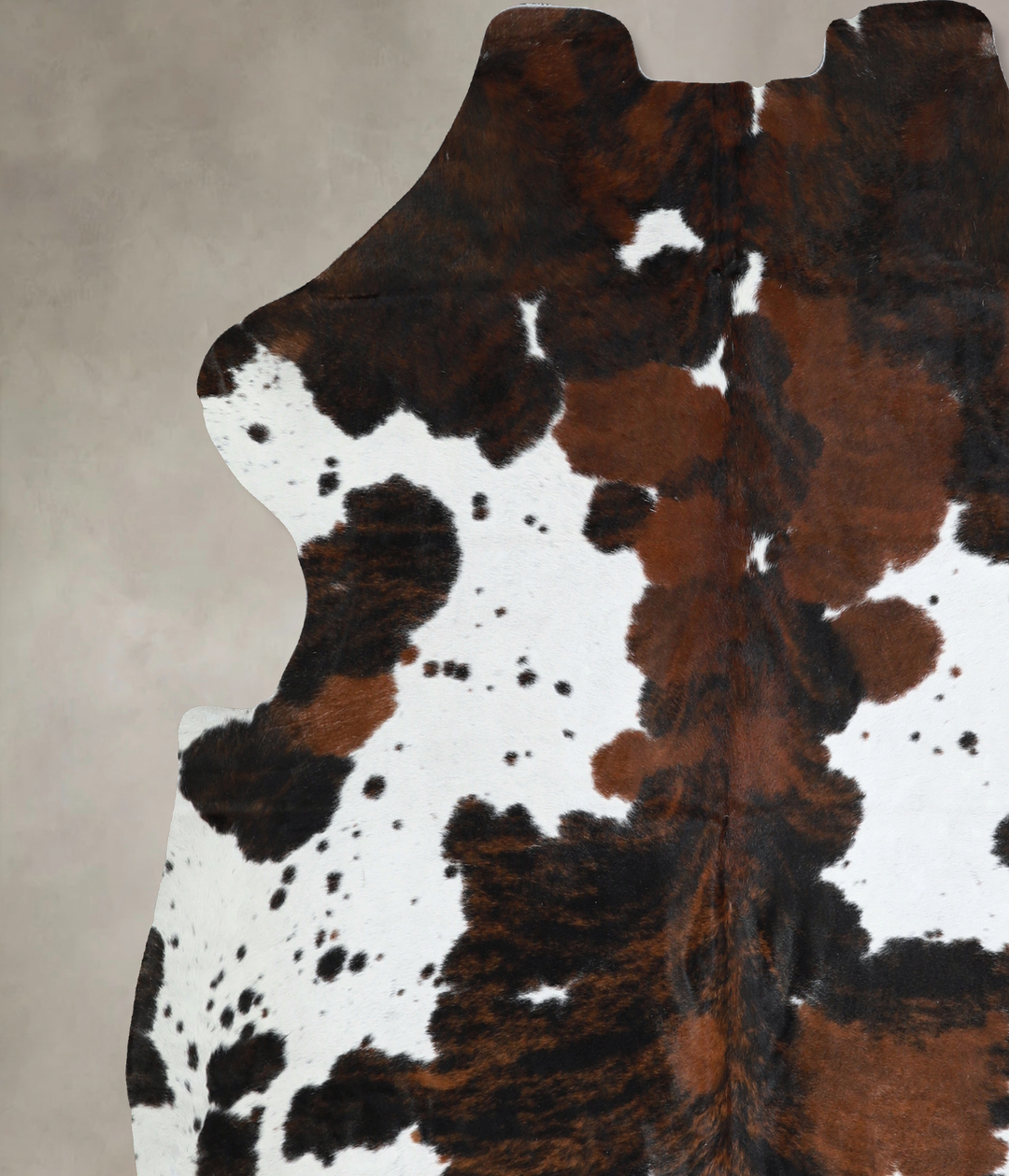 Tricolor X-Large European Cowhide Rug 6'10"H x 6'8"W #A40987 by Hudson