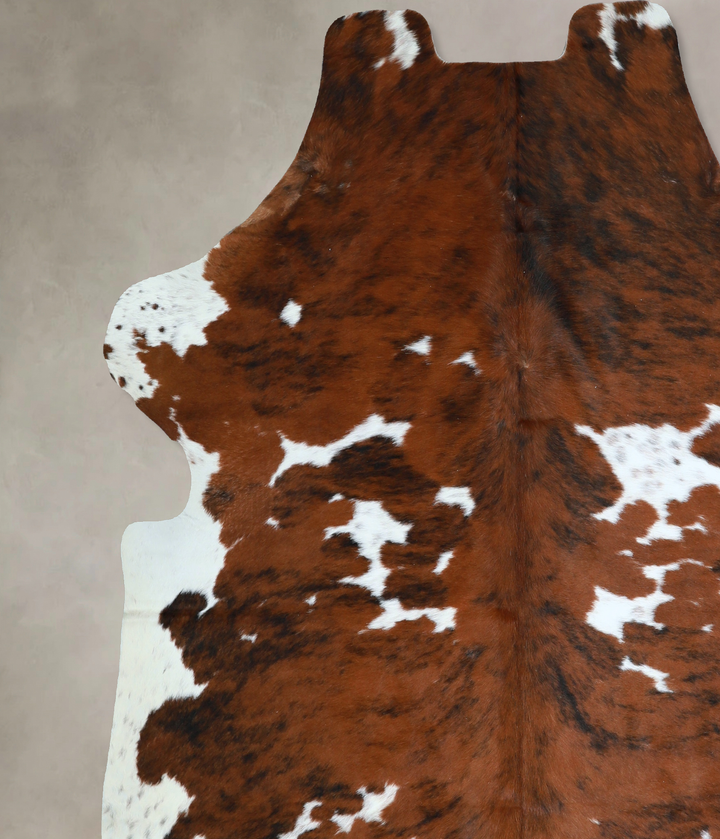 Tricolor X-Large European Cowhide Rug 7'0"H x 6'2"W #A40988 by Hudson Hides