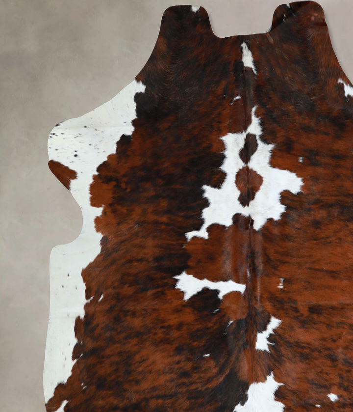 Tricolor X-Large European Cowhide Rug 6'10"H x 6'5"W #A40989 by Hudson Hides