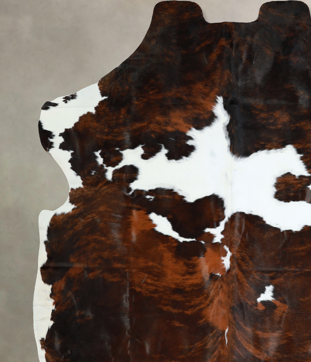 Tricolor X-Large European Cowhide Rug 6'9"H x 6'5"W #A40991 by Hudson 