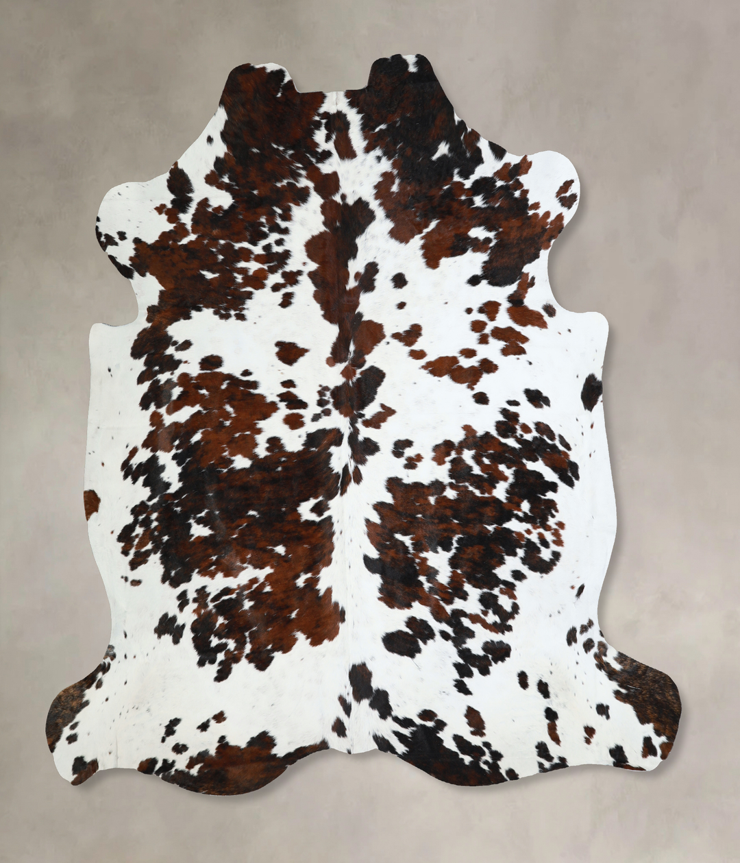 Tricolor X-Large European Cowhide Rug 7'0"H x 6'11"W #A41003 by Hudson