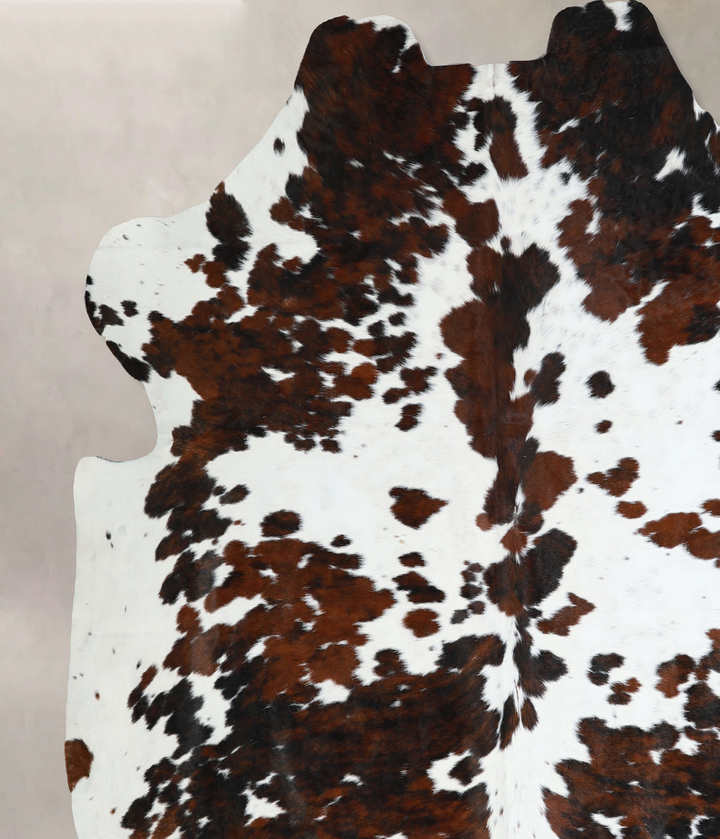 Tricolor X-Large European Cowhide Rug 7'0"H x 6'11"W #A41003 by Hudson Hides