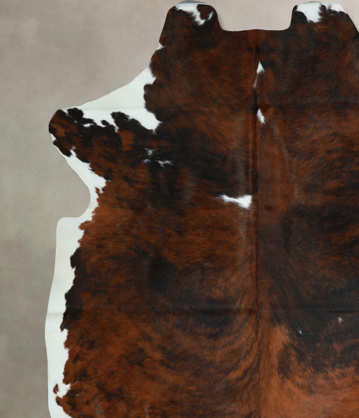 Tricolor X-Large European Cowhide Rug 7'0"H x 6'9"W #A41006 by Hudson Hides
