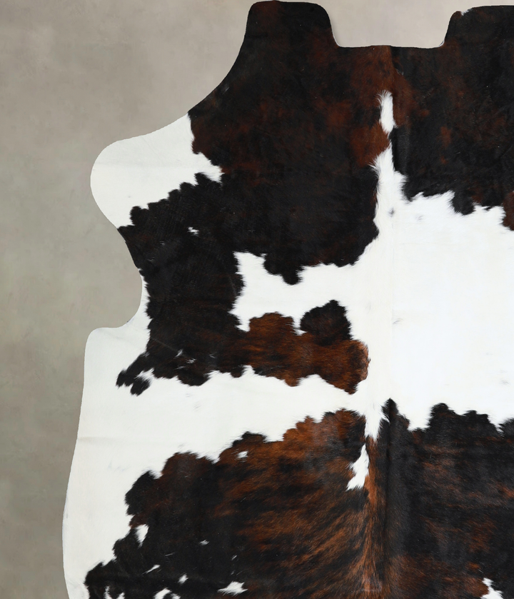 Tricolor X-Large European Cowhide Rug 6'9"H x 6'5"W #A41021 by Hudson Hides