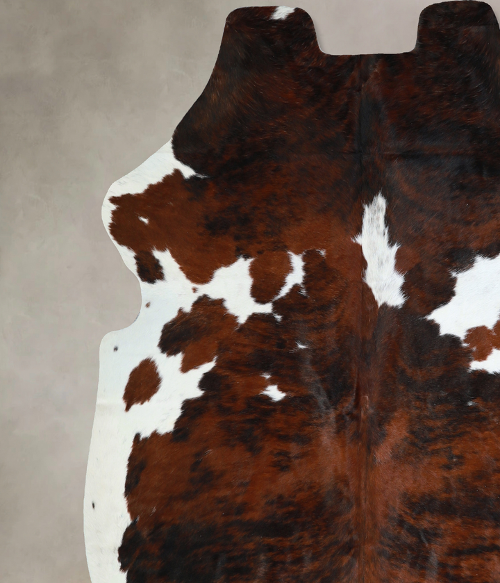 Tricolor X-Large European Cowhide Rug 7'1"H x 6'8"W #A41024 by Hudson Hides