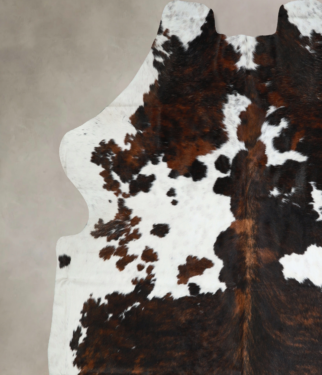 Tricolor X-Large European Cowhide Rug 6'10"H x 7'1"W #A41026 by Hudson