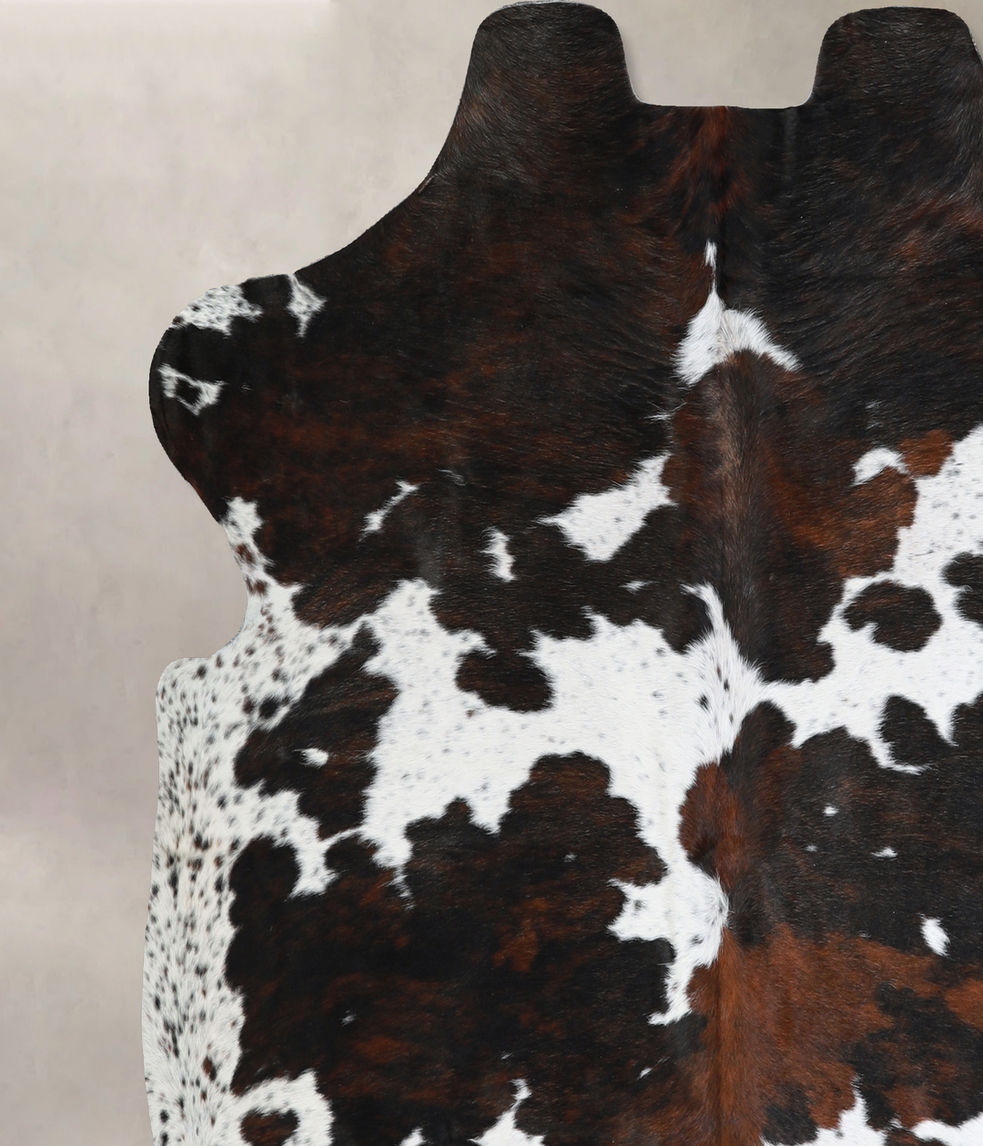 Tricolor X-Large European Cowhide Rug 6'3"H x 6'9"W #A41031 by Hudson 