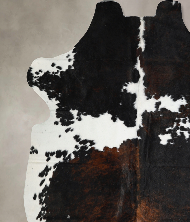 Tricolor X-Large European Cowhide Rug 6'9"H x 6'5"W #A41033 by Hudson Hides