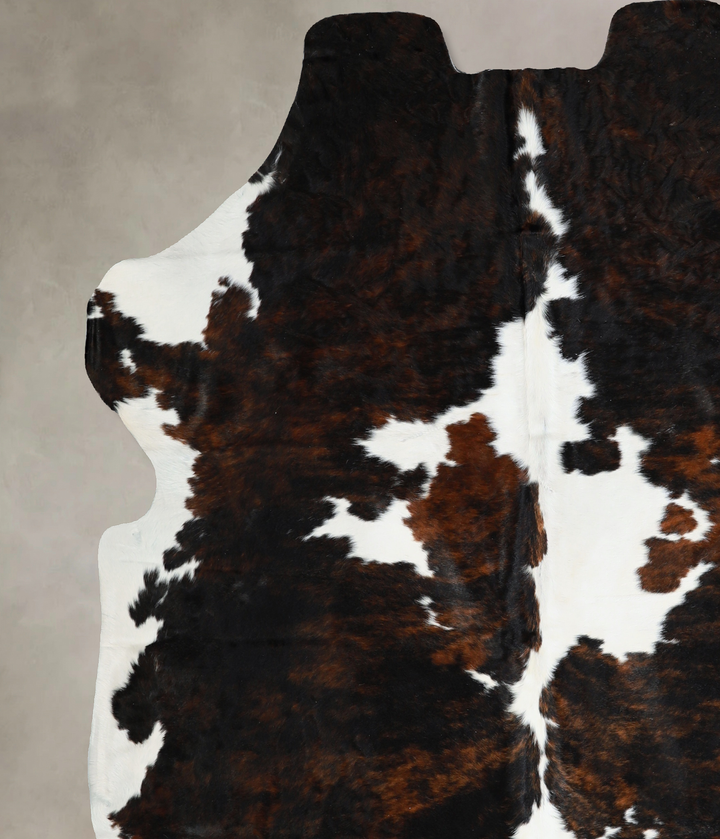 Tricolor X-Large European Cowhide Rug 6'10"H x 6'7"W #A41034 by Hudson Hides