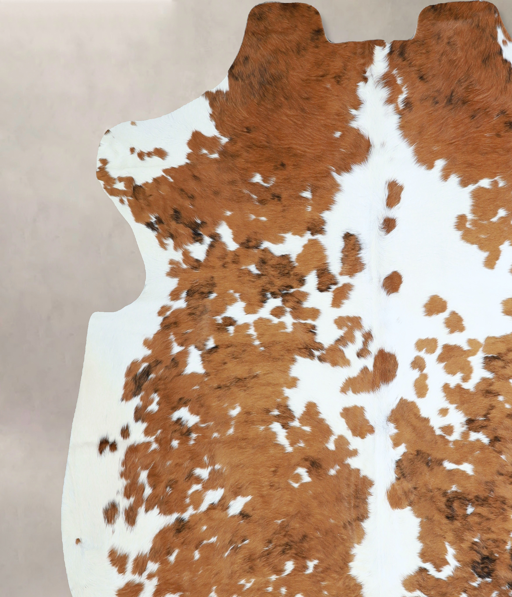 Tricolor Cowhide Rug #A41035