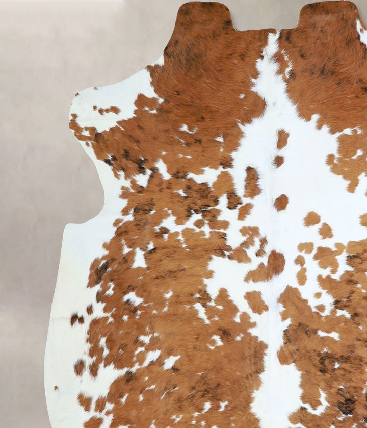 Tricolor X-Large European Cowhide Rug 6'11"H x 6'10"W #A41035 by Hudson Hides