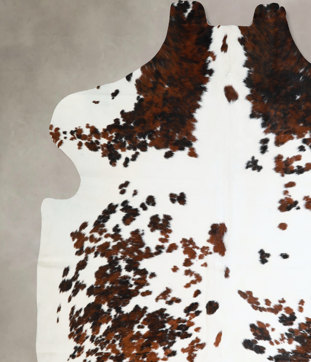 Tricolor X-Large European Cowhide Rug 6'9"H x 6'8"W #A41036 by Hudson 
