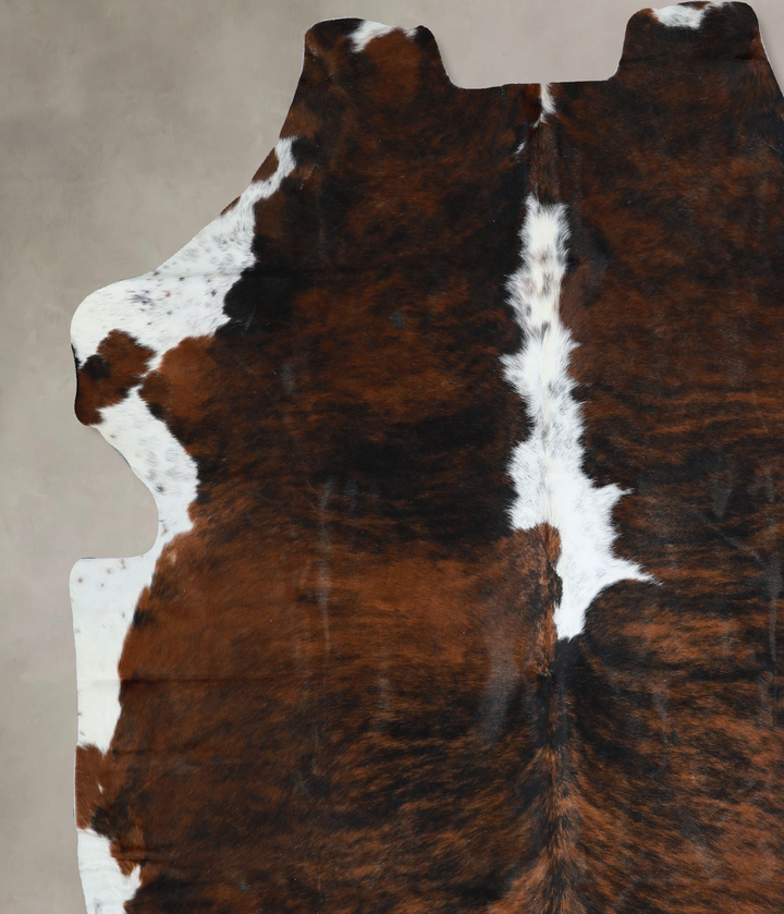 Tricolor X-Large European Cowhide Rug 6'8"H x 6'3"W #A41038 by Hudson Hides